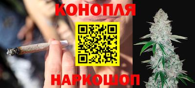 метадон Гай