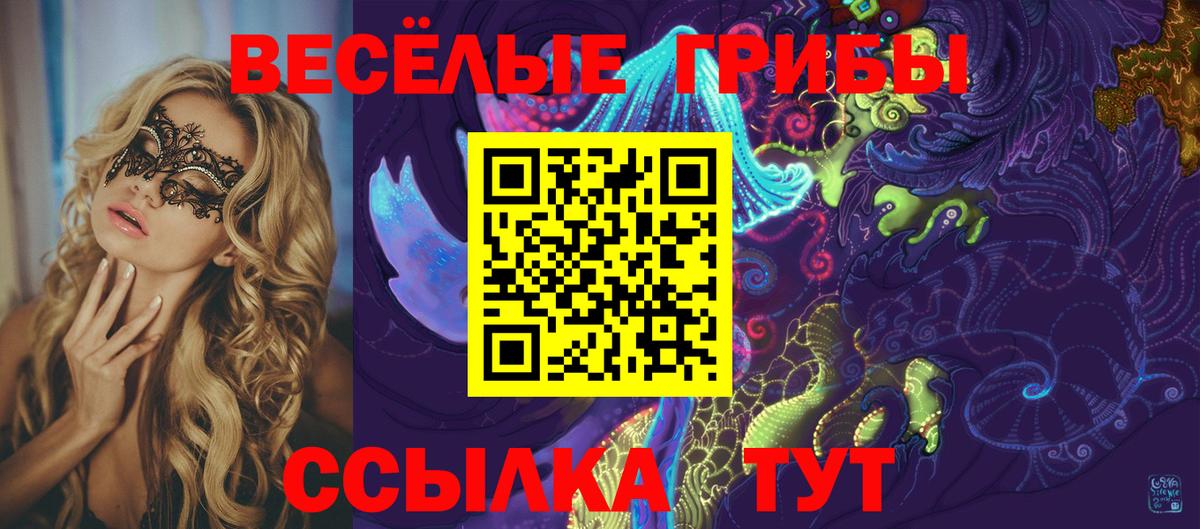 Псилоцибиновые грибы мицелий Спасск-Дальний